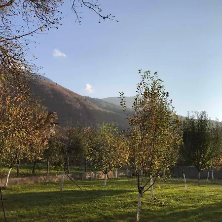 Орехите Villa